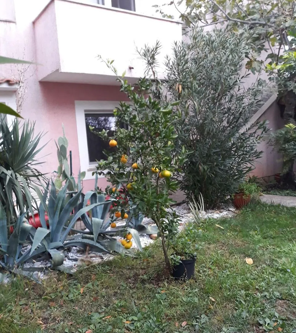 Otok Krk Apartments Čižići 0*,