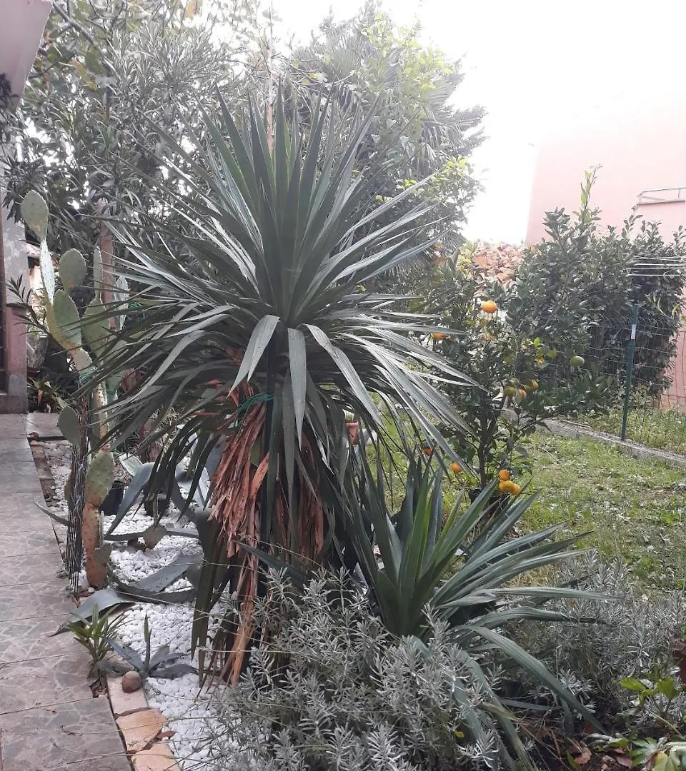 Otok Krk Apartments Čižići 0*,  Chorwacja