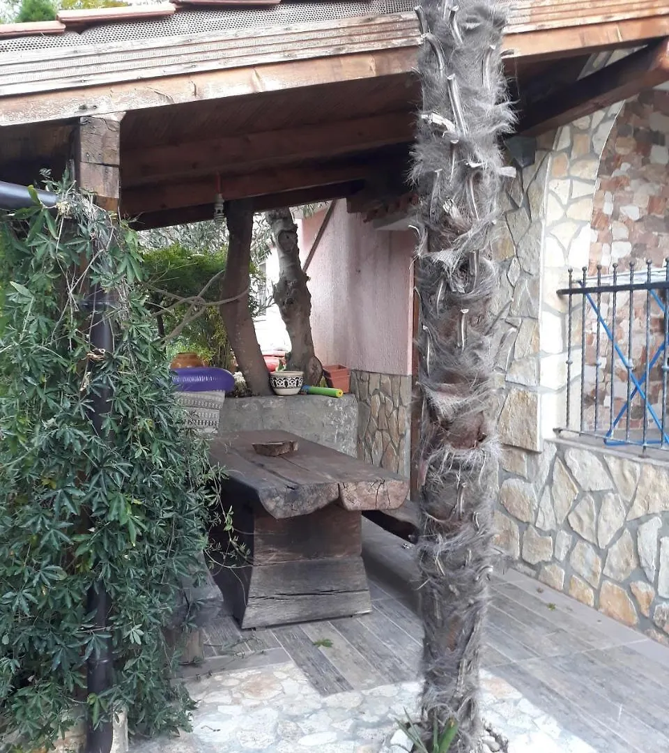 Otok Krk Apartments Čižići